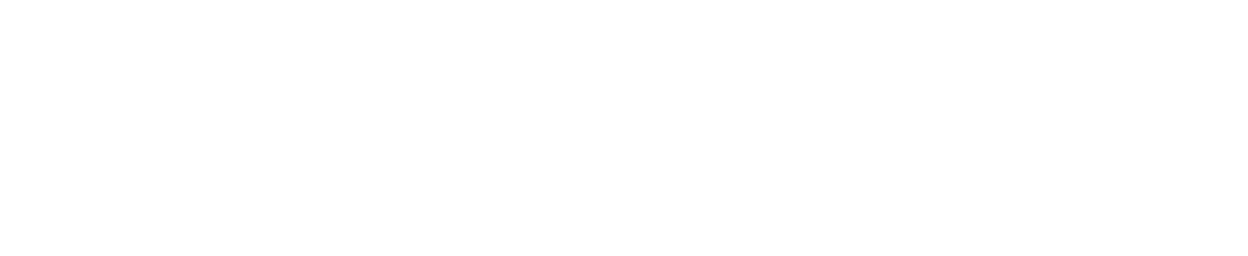 300PROCENT-Logo-Biale